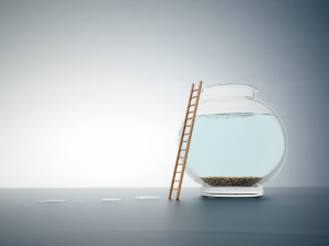 Empty fishbole with a ladder - independence and freedom concept illustration